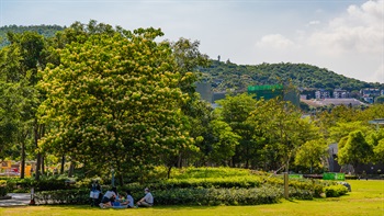 Family enjoying their picnic time under the shade of a tall <i>Crateva unilocularis</i> tree.